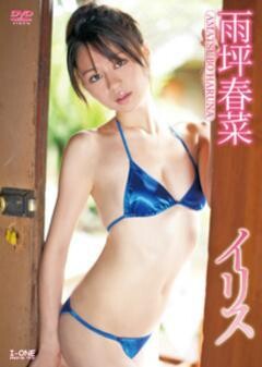 雨坪春菜｢ｲﾘｽ｣